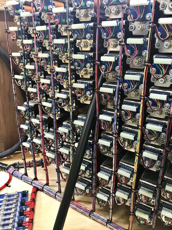 Csl organ removal 00079