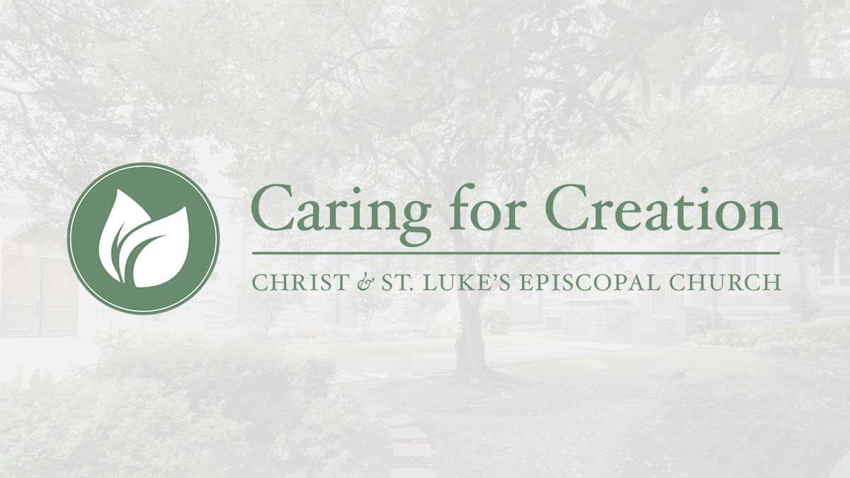 Caring for Creation featured image