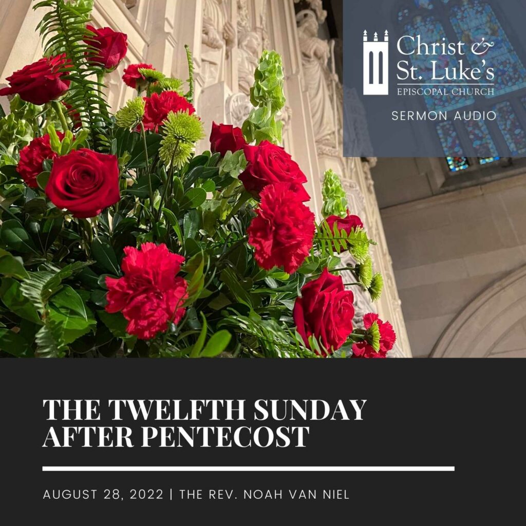 The twelfth sunday after pentecost, 2022