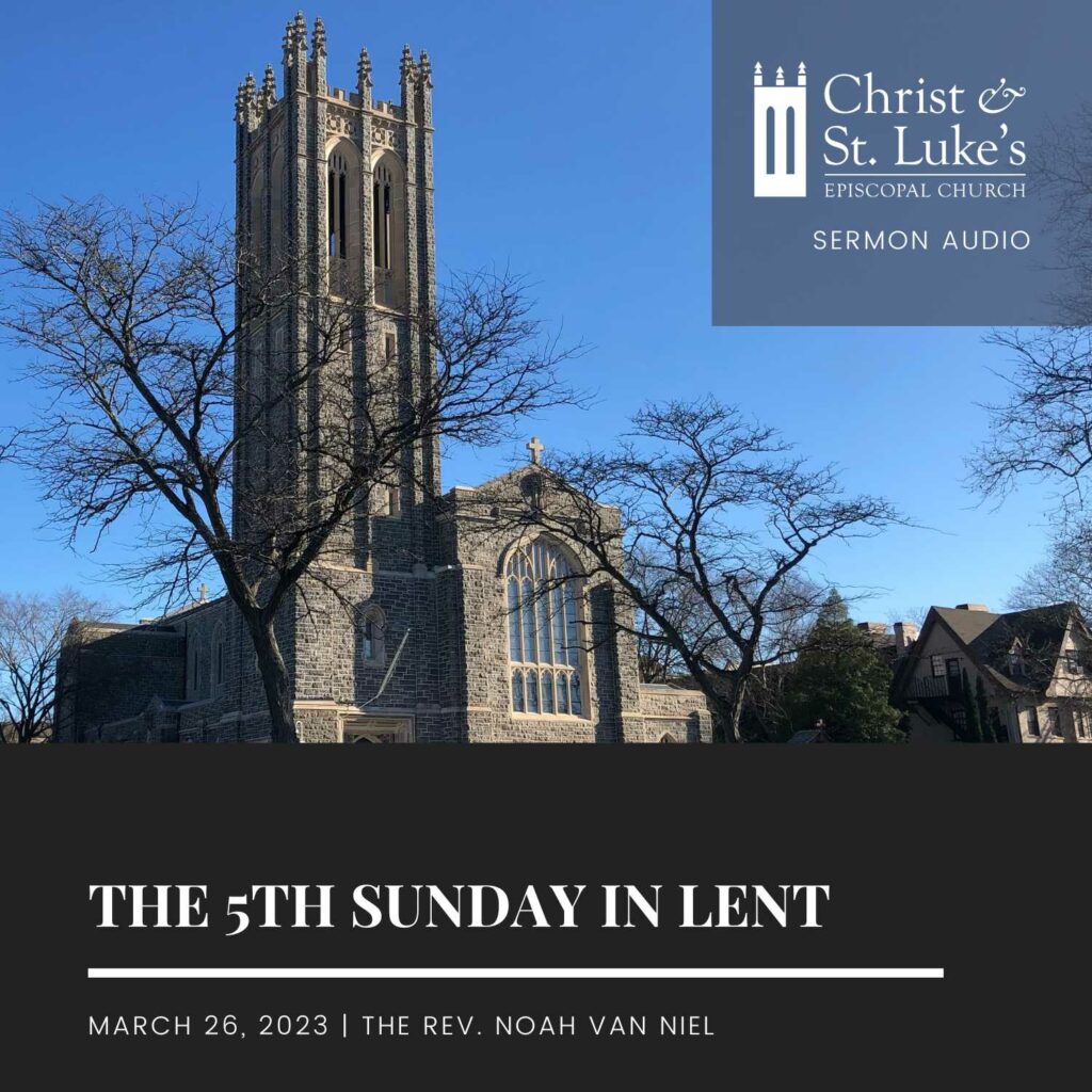 The 5th sunday in lent, 2023