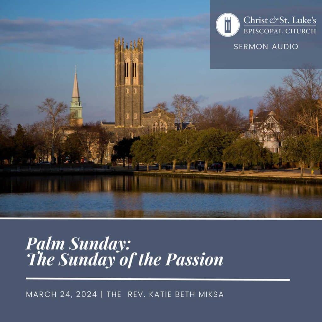 Palm sunday: the sunday of the passion, 2024