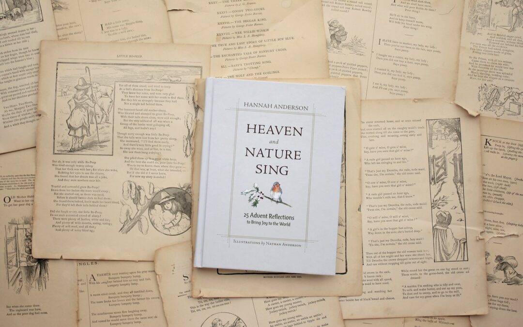 Heaven and nature sing: a rector’s book study roundup and 2026 preview