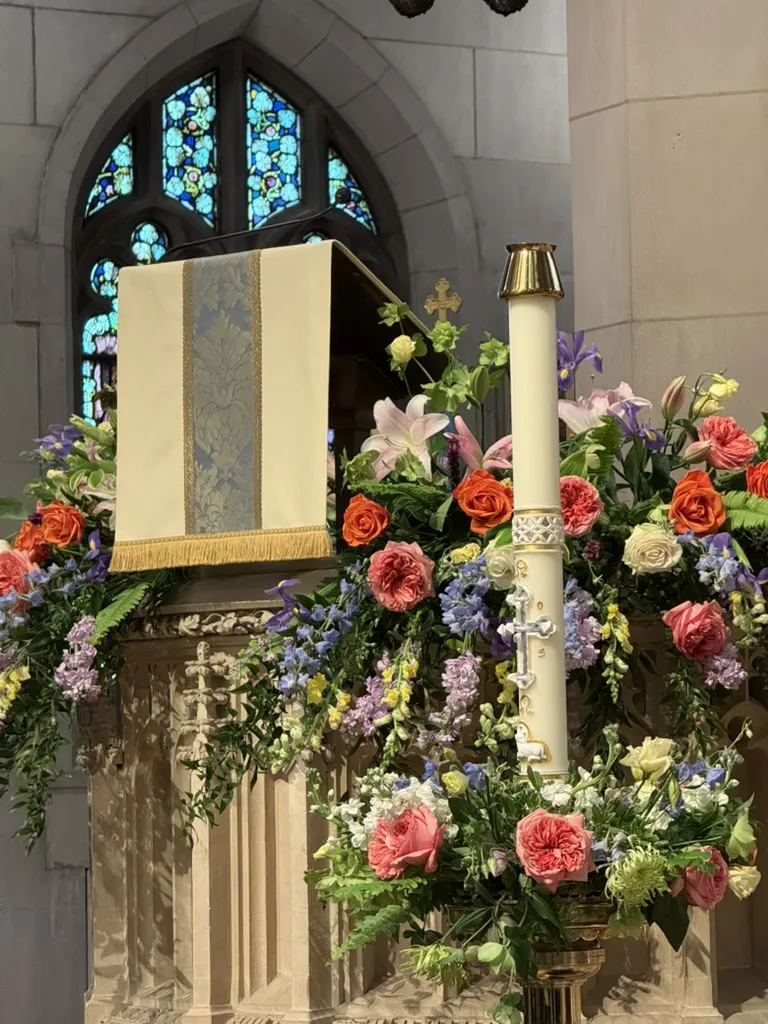 Padraig o tuama headshot